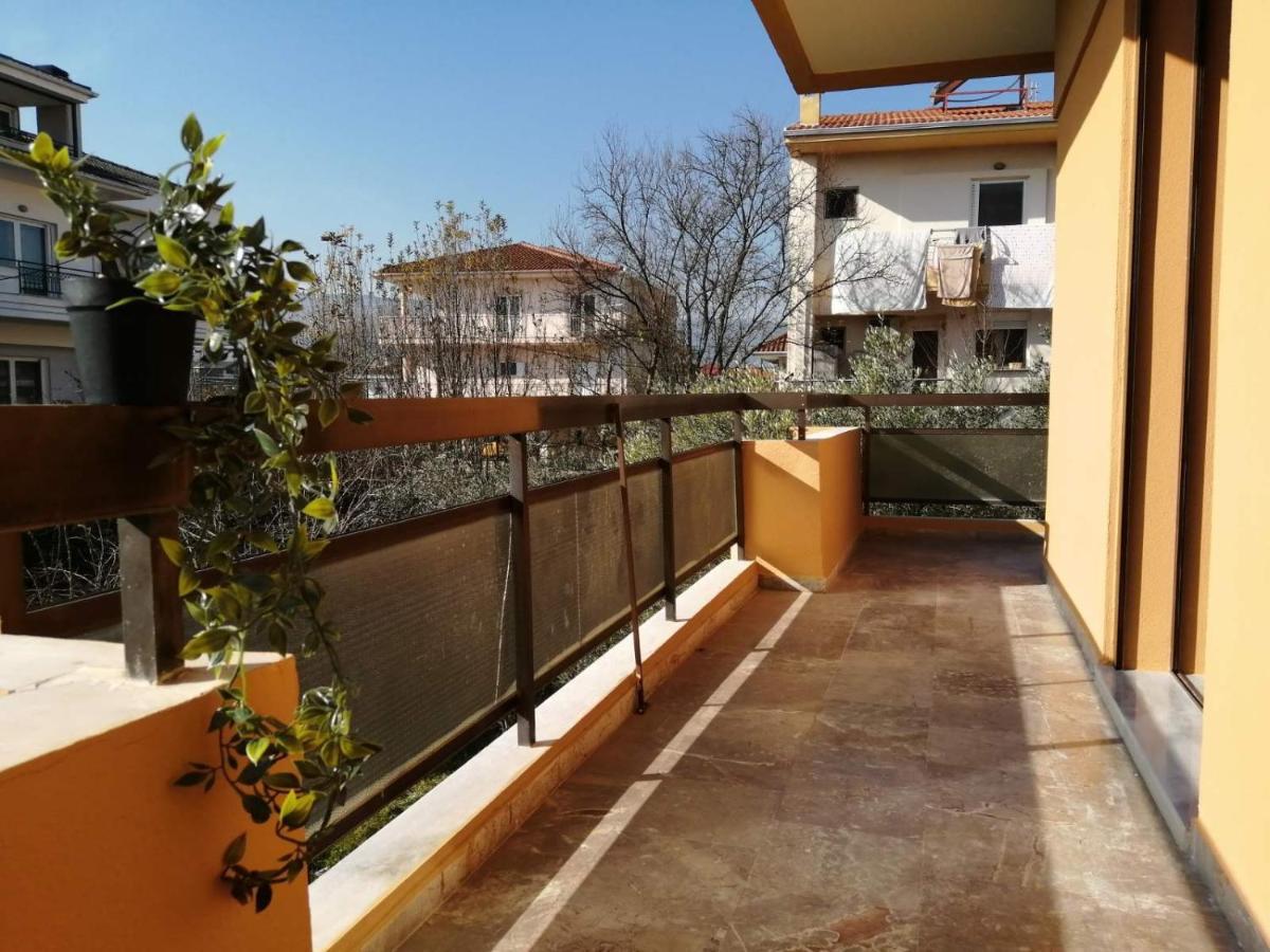 Eleana Apartment Ioannina Exterior photo
