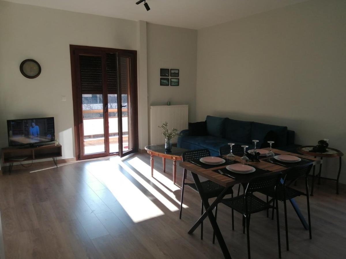 Eleana Apartment Ioannina Exterior photo