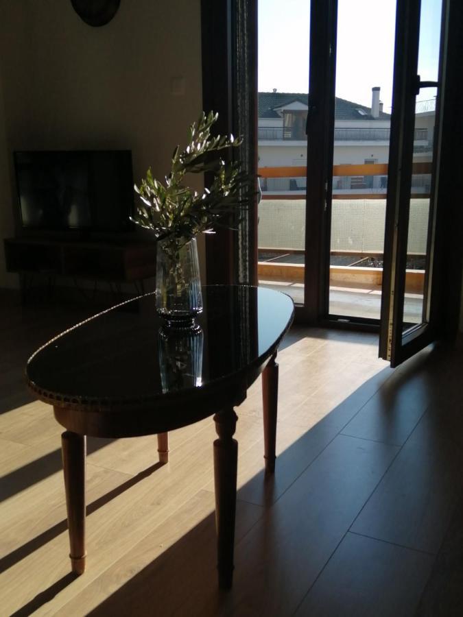 Eleana Apartment Ioannina Exterior photo